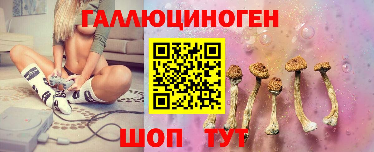 Чайковский  Галлюциногенные грибы ЛСД  Вход с VPN 