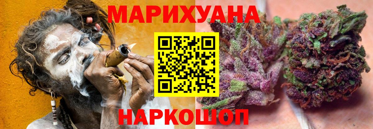 Каннабис гибрид Чайковский